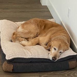 Meet your Posher, Riley